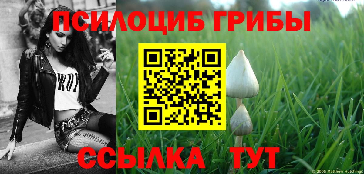 Псилоцибиновые грибы GOLDEN TEACHER  Вход с VPN  Усолье-Сибирское 